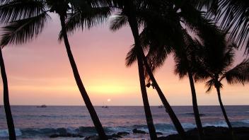UC Davis Study Abroad, Internship Abroad Hawaii Program, Photo Album, Image 7