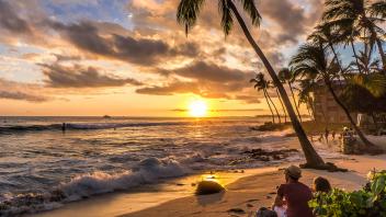 UC Davis Study Abroad, Internship Abroad Hawaii Program, Photo Album, Image 9