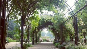 UC Davis Study Abroad, Summer Abroad UK_Scottish Program, Photo Album, Image 3
