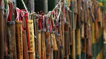 UC Davis Study Abroad, Quarter Abroad Taiwan Program, Photo Album, Image 4