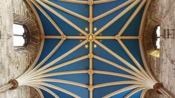 UC Davis Study Abroad, Summer Abroad UK Management Program, Photo Album, Image 12
