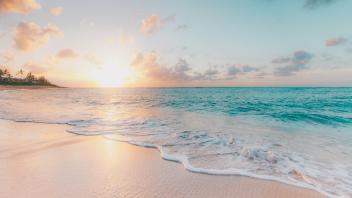 UC Davis Study Abroad, Internship Abroad Hawaii Education Program, Photo Album, Image 10