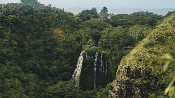 UC Davis Study Abroad, Internship Abroad Hawaii Education Program, Photo Album, Image 11