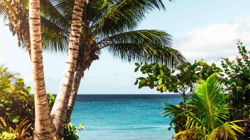 UC Davis Study Abroad, Internship Abroad Hawaii Education Program, Photo Album, Image 8