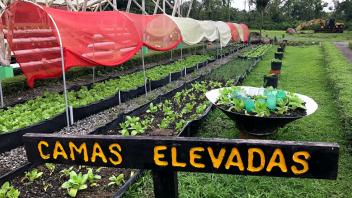 UC Davis Study Abroad, Summer Internship Costa Rica Program, Photo Album, Image 1