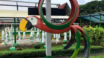 UC Davis Study Abroad, Summer Internship Costa Rica Program, Photo Album, Image 10
