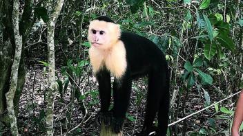 UC Davis Study Abroad, Summer Internship Costa Rica Program, Photo Album, Image 6