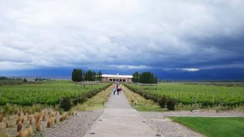 UC Davis Quarter Abroad Argentina, Photo Album 16