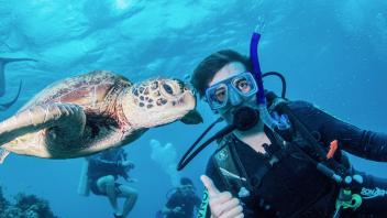UC Davis Study Abroad, Summer Internship Australia Program, Photo Album, Image 5