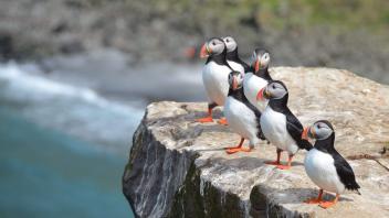 UC Davis Study Abroad, Summer Abroad Iceland Program, Photo Album, Image 14
