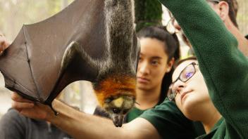 UC Davis Study Abroad, Summer Internship Australia Program, Photo Album, Image 8