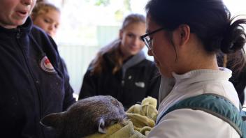UC Davis Study Abroad, Summer Internship Australia Program, Photo Album, Image 12