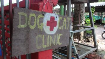 UC Davis Study Abroad, Internship Abroad Thailand Veterinary Medicine Program, Photo Album, Image 1