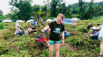 UC Davis Study Abroad, Internship Abroad Thailand Veterinary Medicine Program, Photo Album, Image 3