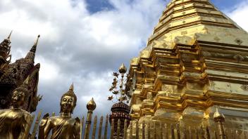 UC Davis Study Abroad, Internship Abroad Thailand Veterinary Medicine Program, Photo Album, Image 4