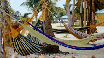 UC Davis Study Abroad, Summer Internships Abroad Belize Program, Photo Album, Image 6