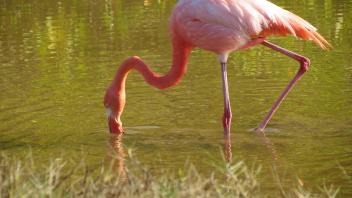 UC Davis Study Abroad, Summer Internships Abroad Ecuador Program, Photo Album, Image 4