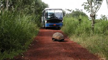 UC Davis Study Abroad, Summer Internships Abroad Ecuador Program, Photo Album, Image 5