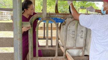 student on a farm in Belize