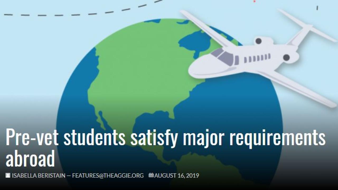 Article Image, Header
