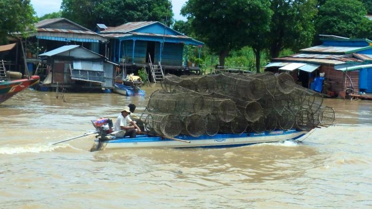 The Tonle Sap Lake produces approximately 500,000 tons of fish a year. This boat is transporting crab traps. (Jason Moore/photo) Header Image, Article