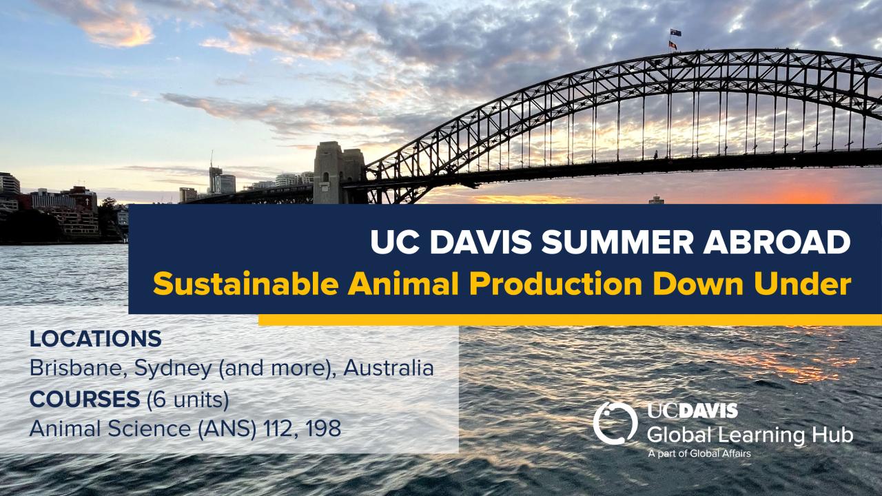 Graphic with text: "UC Davis Summer Abroad Australia (Sustainable Animal Production Down Under)"