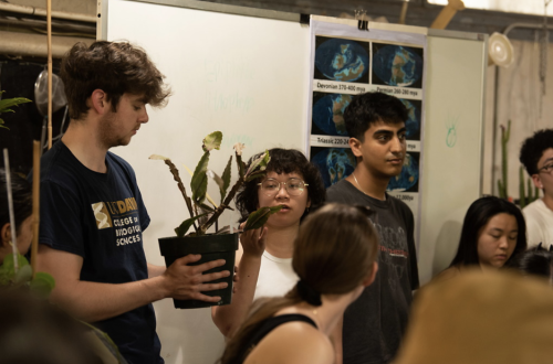 Students gather around and learn about plants.