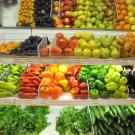 Header Image, Study Abroad in Food Science and Technology