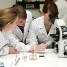 Study Abroad in Clinical Nutrition, Header Image