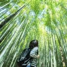Study Abroad in Cognitive Science, Header Image