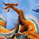UC Davis Study Abroad, Pharmaceutical Chemistry in Taipei Program, Header Image