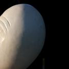 Teaser image of an egghead - Click to learn more about this program