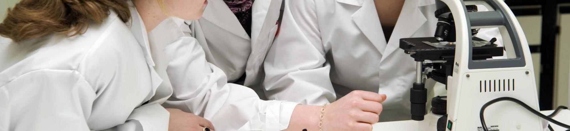 Study Abroad in Clinical Nutrition, Header Image