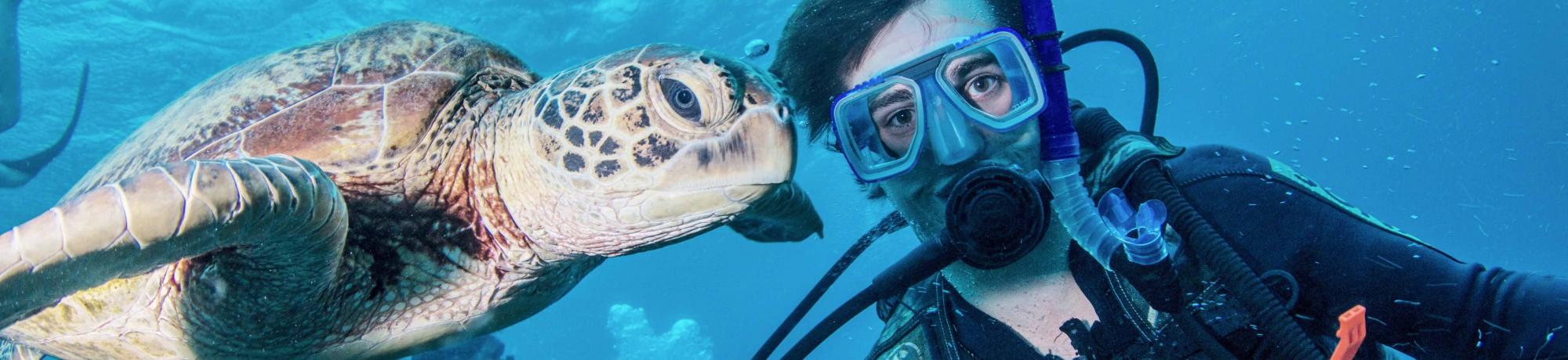 UC Davis Internship Abroad Australia, Photo Album, Header