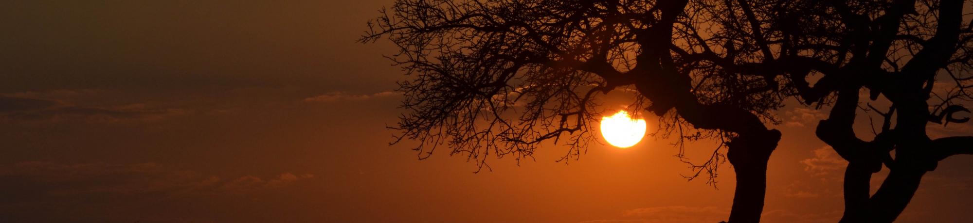 UC Davis Summer Abroad South Africa, Photo Album, Header