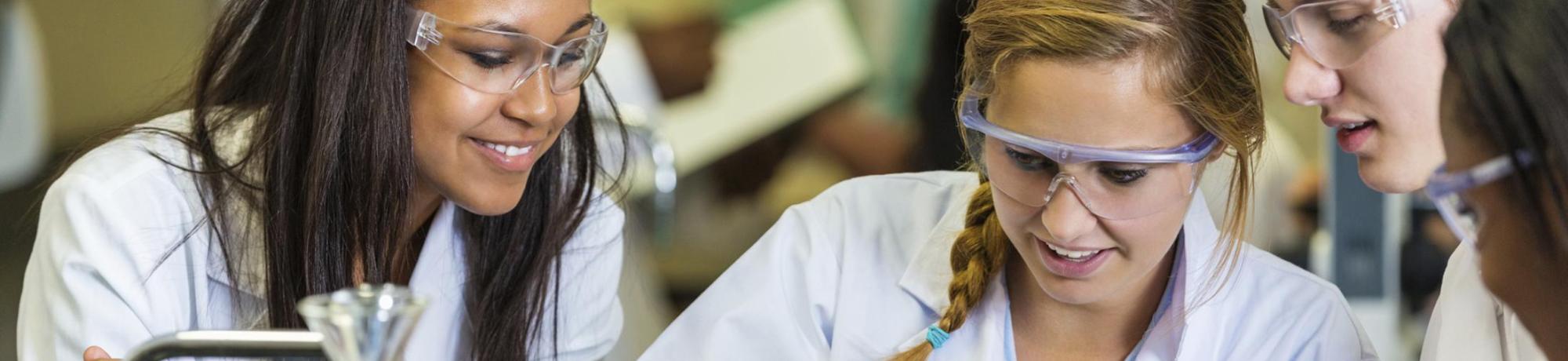 Header Image, Study Abroad in Biomedical Engineering