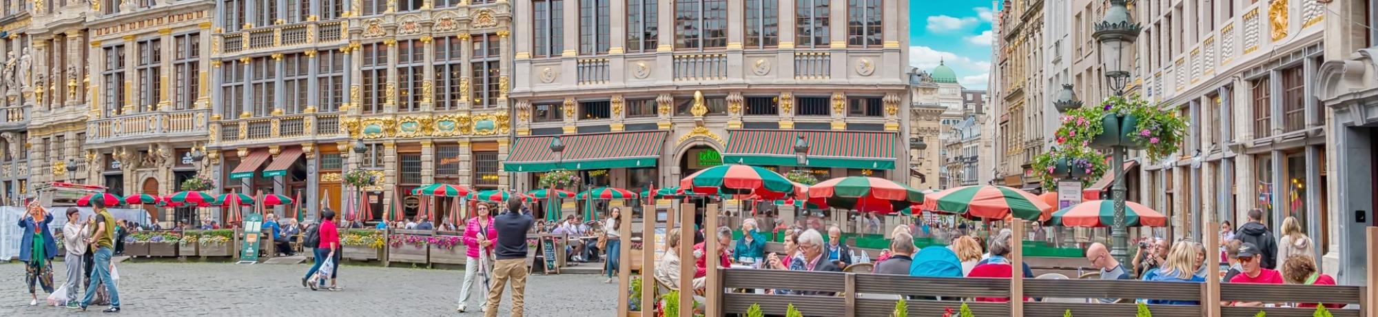 UC Davis Study Abroad, Summer Abroad Belgium, Microbiology Program, Header Image