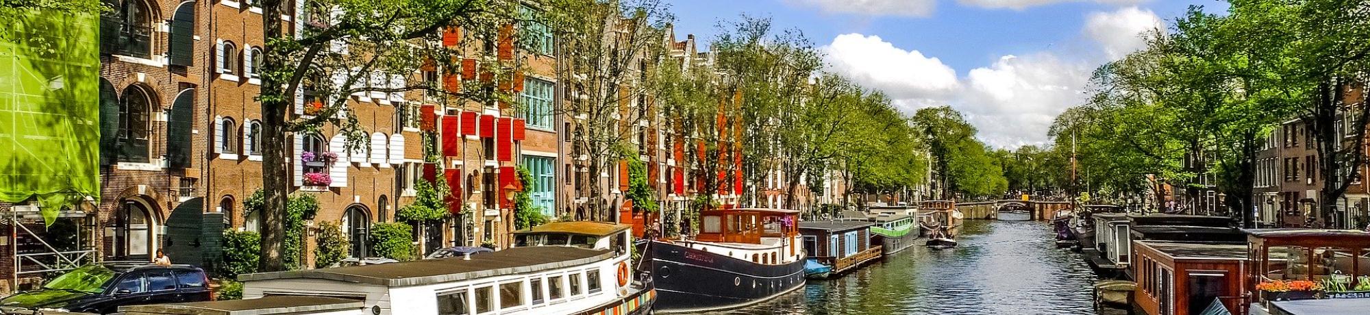 UC Davis Study Abroad, Summer Abroad Netherlands, Human Sexuality Program, Header Image