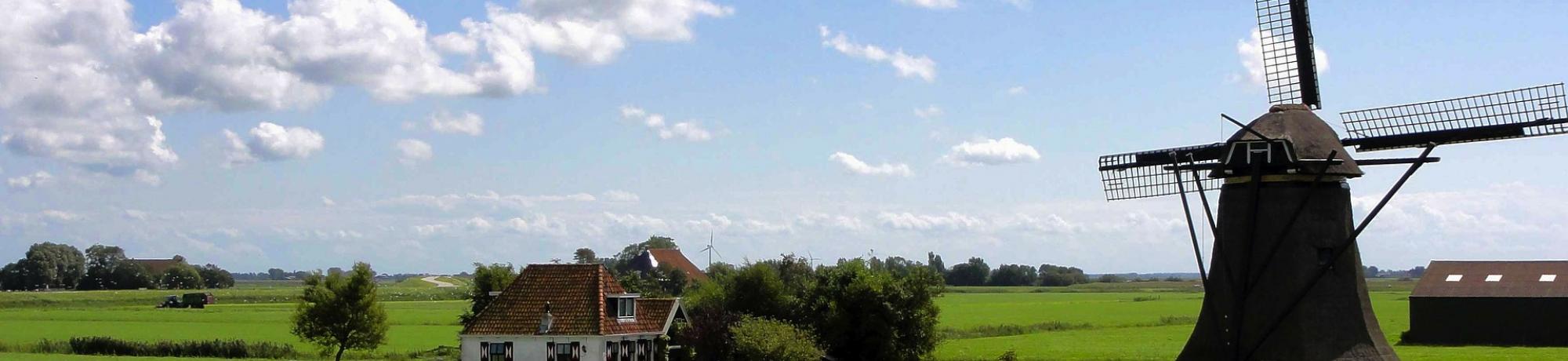 UC Davis Summer Abroad Netherlands, Photo Album, Header