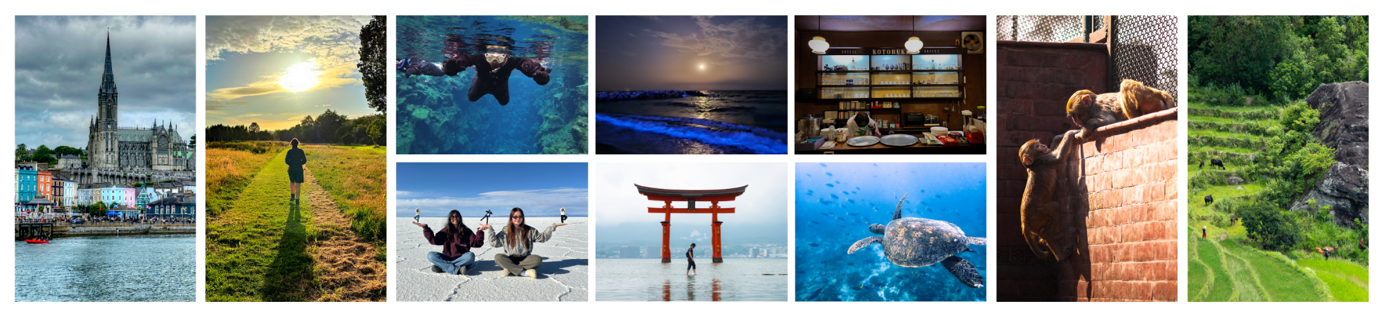 A vibrant photo collage with ten images from various international destinations, featuring landmarks, nature, and wildlife. Scenes include a Gothic cathedral by the water, a person walking toward the sunset, underwater snorkeling, a cozy café, people on salt flats, a torii gate in water, a sea turtle, monkeys resting on a wall, and terraced fields with grazing animals.