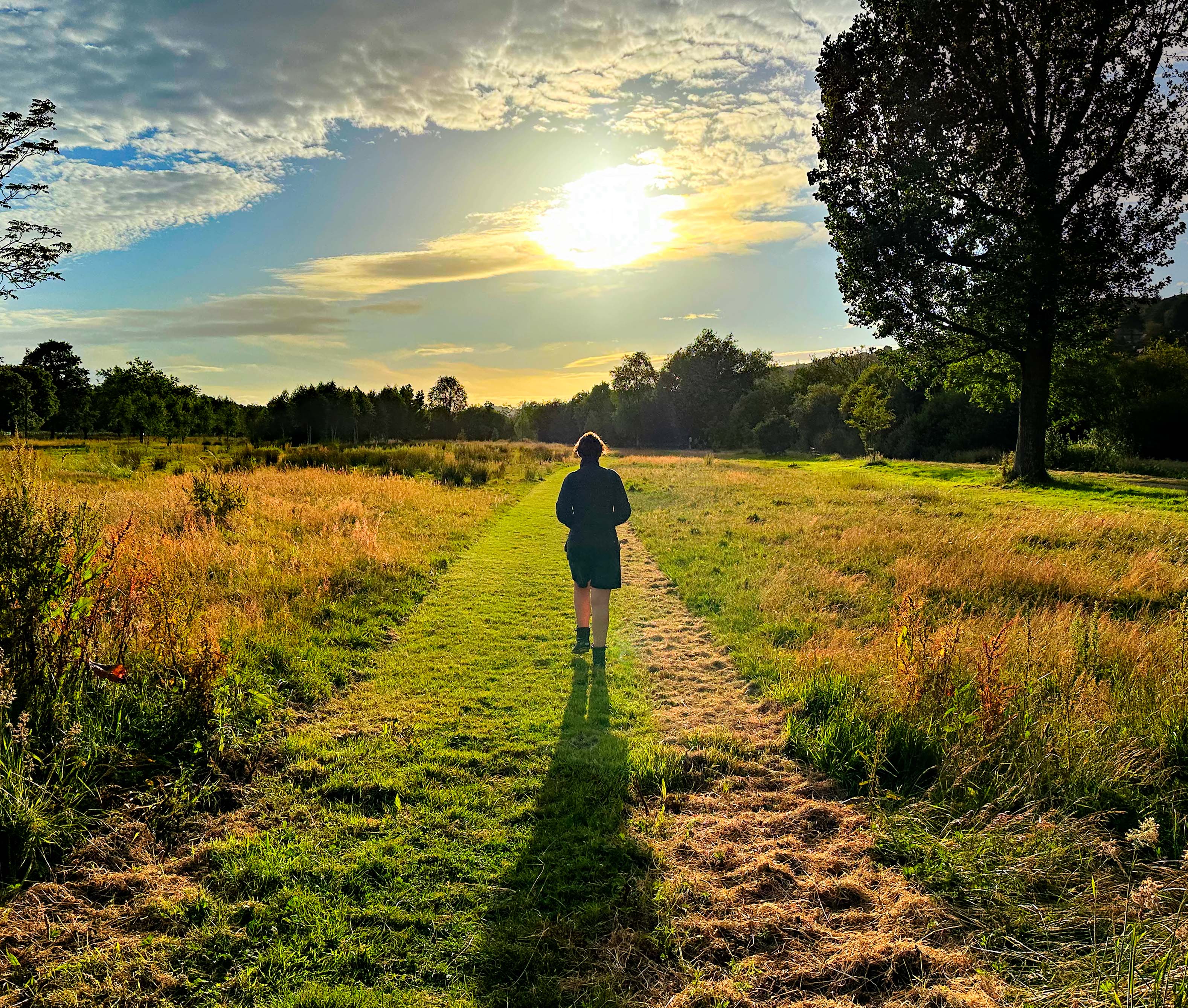 A person strolls along a winding path through a lush green field under a clear blue sky.