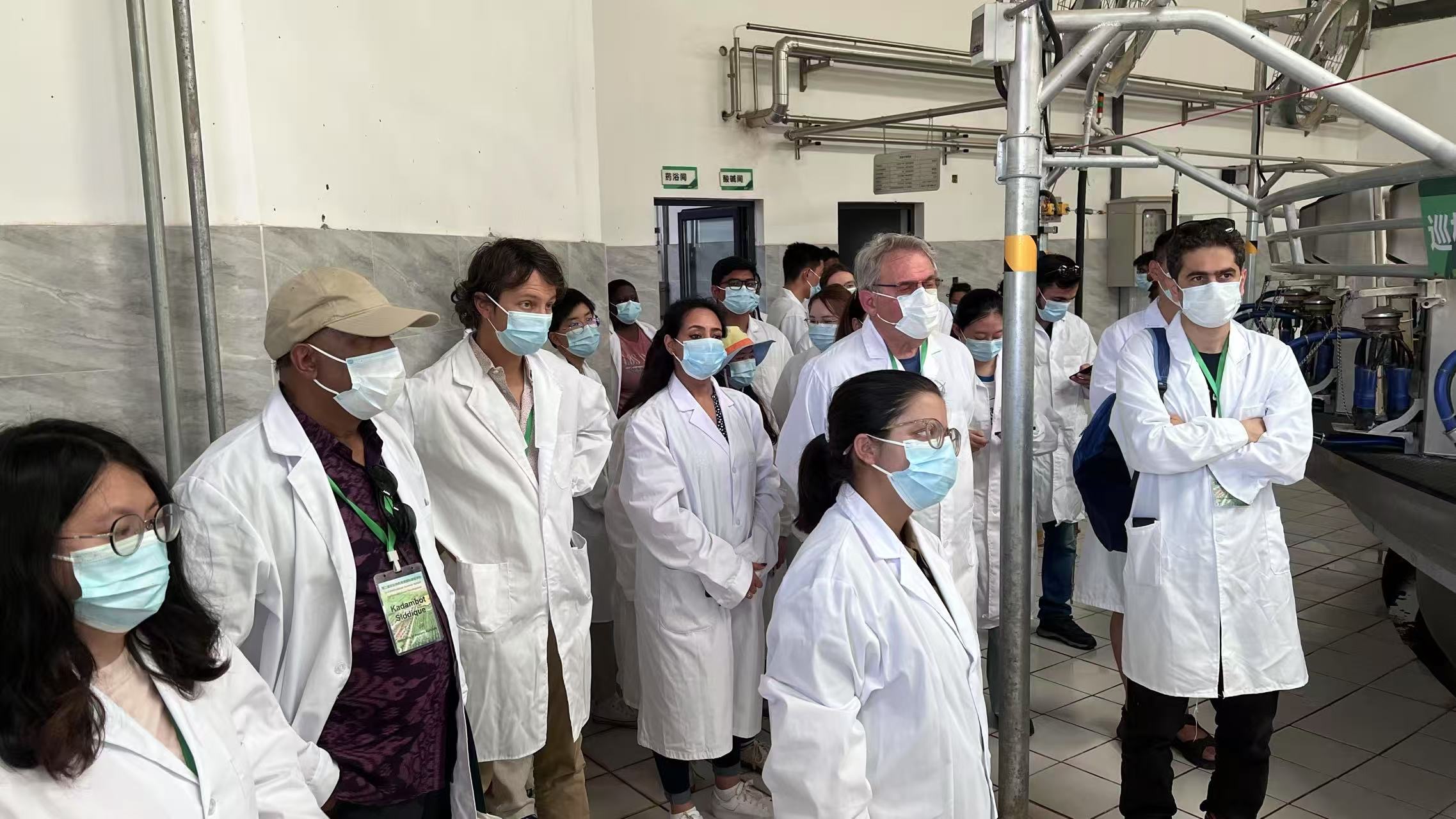 Masked international scholars in white coats gathered in a dairy research facility