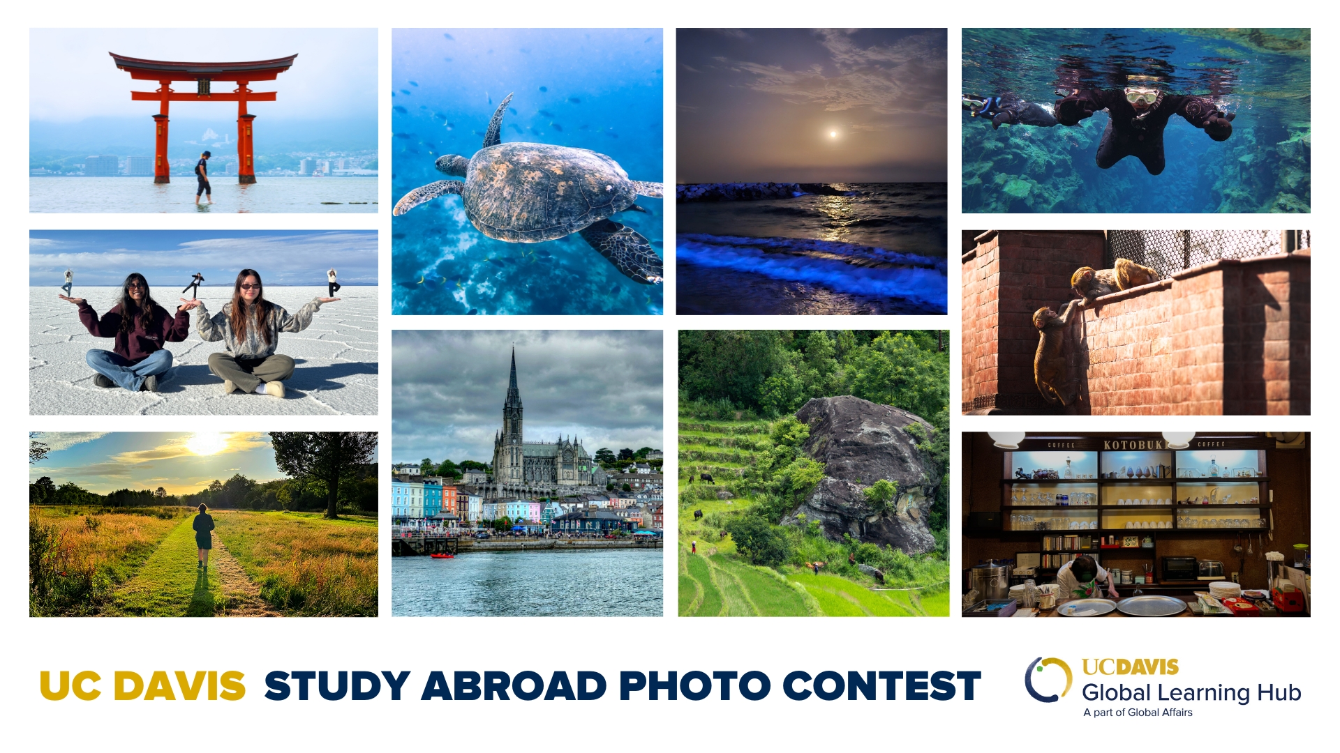 Promotional graphic for the UC Davis Study Abroad Photo Contest. Features a collage of photos: a red torii gate over water, a sea turtle underwater, a sunset over the ocean, a snorkeler underwater, two people sitting cross-legged on a salt flat, two monkeys climbing a brick wall, a historic cathedral by a colorful waterfront, a rock in a terraced field, a person walking in a grassy field at sunset, and a barista preparing coffee at a café named Kotobuki. Includes the UC Davis Global Learning Hub logo.