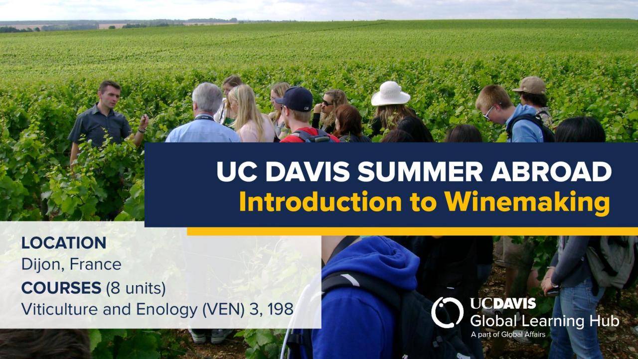UC Davis Summer Abroad (Introduction to Winemaking)