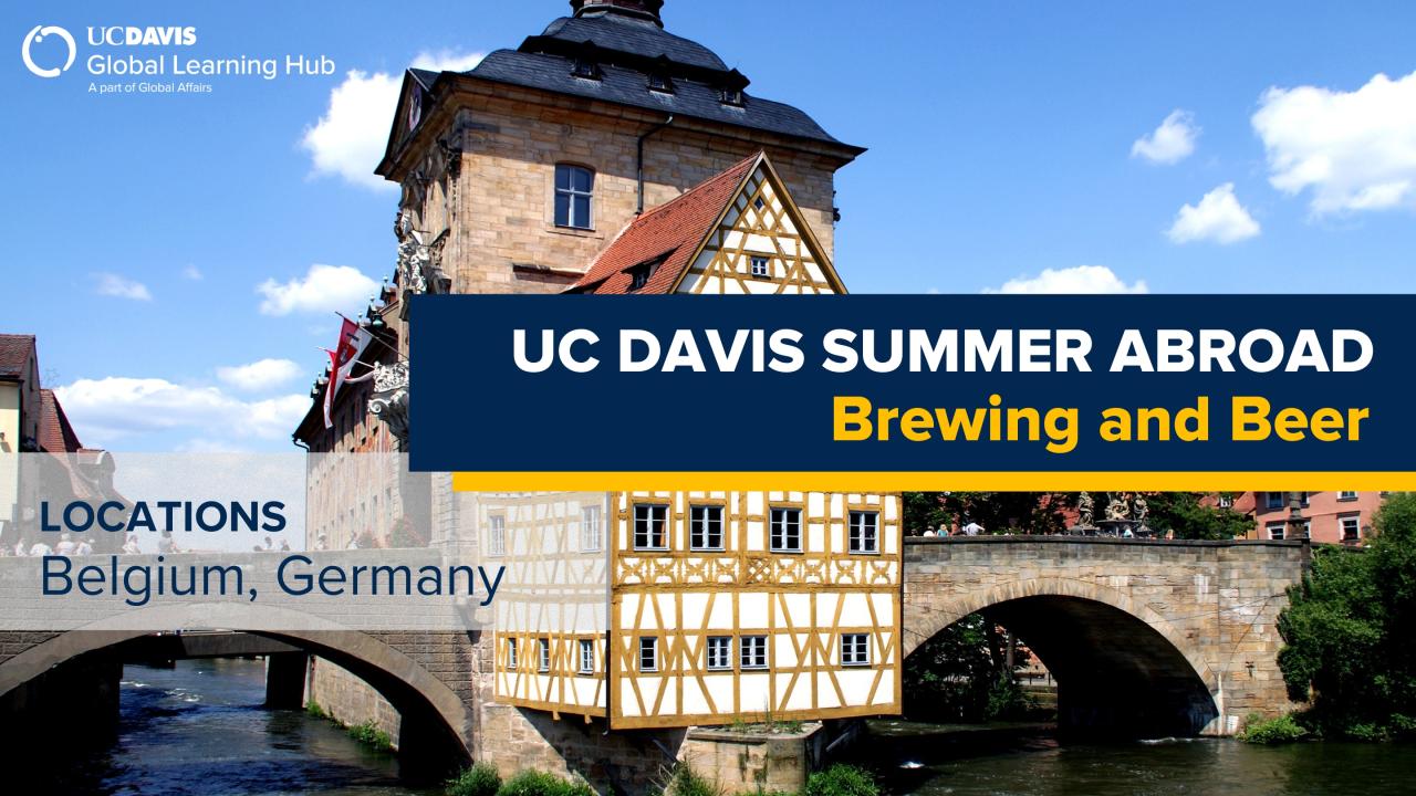 UC Davis Global Learning Hub banner for the Summer Abroad program ‘Brewing and Beer,’ with locations in Belgium and Germany. The background features a historic building over a stone bridge above a river under a bright blue sky.