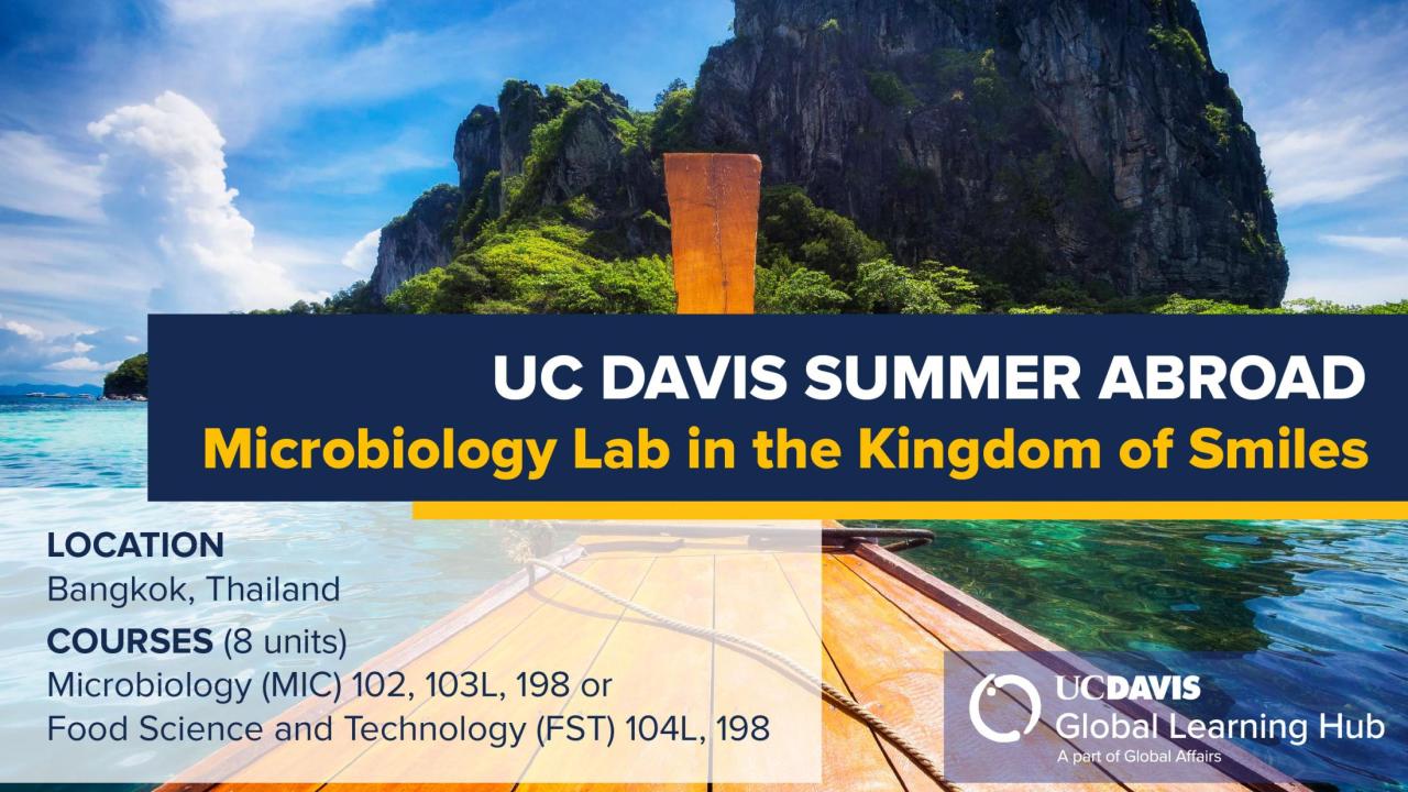 Graphic with text "UC Davis Summer Abroad Microbiology Lab in the Kingdom of Smiles"