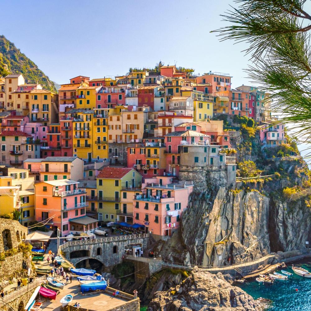 Colorful buildings on a cliff in Manarola, Italy, overlooking the sea, with tree branches framing the view.