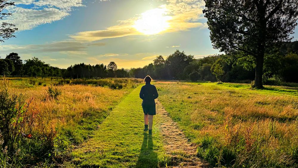 A person walks on a grassy path in a field at sunset, with trees in the background and a large tree to the right.