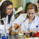 Header Image, Study Abroad in Biomedical Engineering
