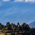 Header Image, Study Abroad in Ecological Management and Restoration